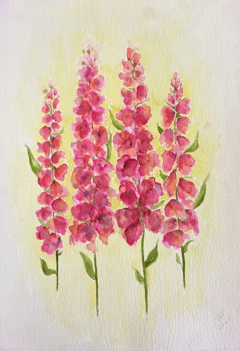 "In the Pink" JDP Watercolor